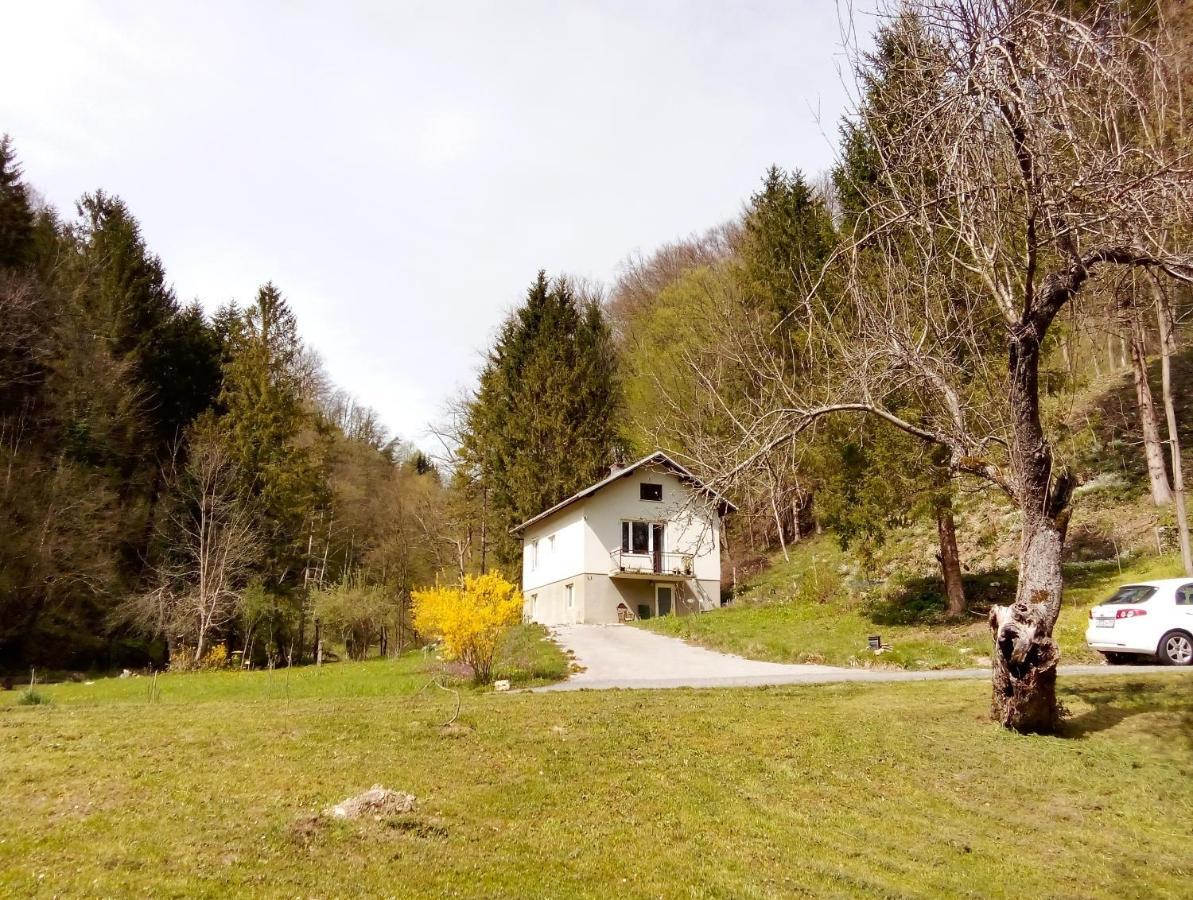 Ferienwohnung Art House Tufi Bistrica ob Sotli Exterior foto